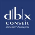 logo_dbx_conseil